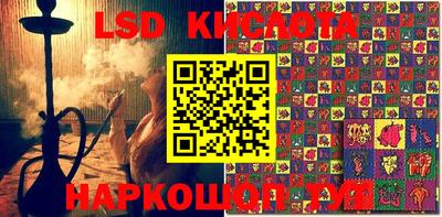 гидропоника Новокубанск
